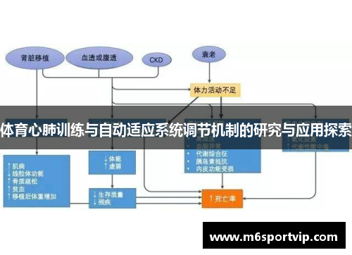 体育心肺训练与自动适应系统调节机制的研究与应用探索